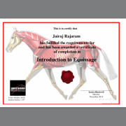 Equissage